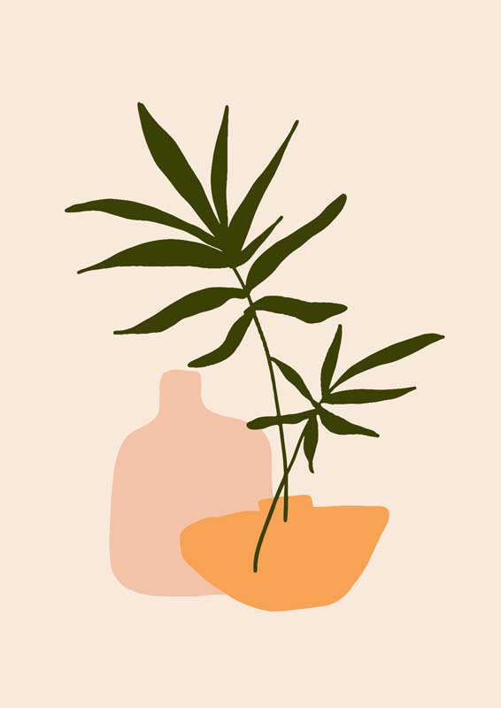 十八年必看生活大片